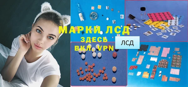 мдпв Верея