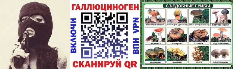 mega сайт  Туймазы  Галлюциногенные грибы Psilocybe  сайты даркнета состав  продажа наркотиков 